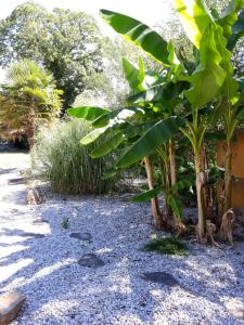 Sejours chez l'habitant Villa suzana : photos des chambres