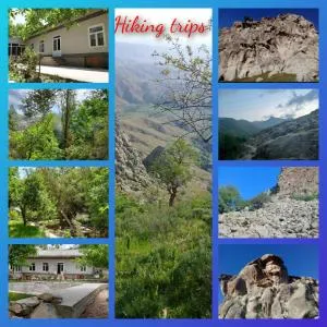 FOREST Guest House - Shahrisabz