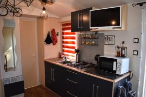 mobil-home sur terrain bucolique