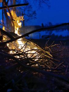 Pałac Kwilecki -AGROTURYSTYKA PREMIUM & SPA