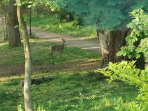 Pałac Kwilecki -AGROTURYSTYKA PREMIUM & SPA