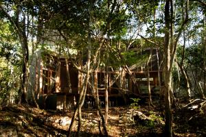 OJO DE ÁRBOL, boutique cabin in the real jungle