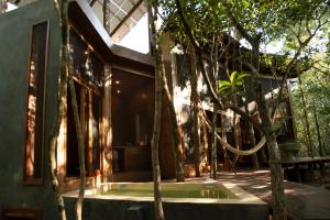 OJO DE ÁRBOL, boutique cabin in the real jungle