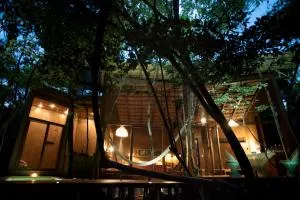 OJO DE ÁRBOL, boutique cabin in the real jungle - Macario Gomez