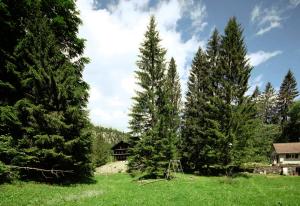 Kunst- und Naturfreundehaus Brünig