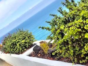 El Drago Apartment, Amazing Ocean & Cliff View