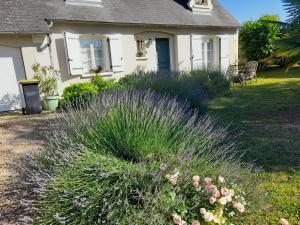 Sejours chez l'habitant Maison de Marie : photos des chambres