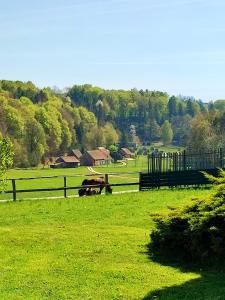 APARTMA KAPELSKI FANT