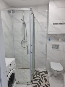 Apartamentai įsikūrę Šventojoje