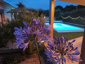 Maison LInattendu avec spa & piscine privatifs