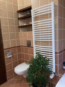 La Sognare, ahol az álom valóra válik