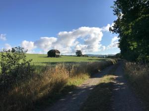 Maisons de vacances La Paix : photos des chambres