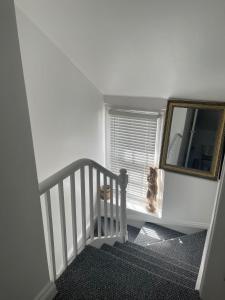 Self contain apartment on the Barbican 3 bed