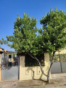 Pula White Experience South Sardinia img51