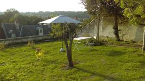 Appartements Loches : gite de charme independant avec jardin : photos des chambres