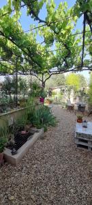 B&B / Chambres d'hotes Cocon Provencal - T1 25m2 - SdB - Terrasse privee & Acces Piscine a Saint Chamas : photos des chambres