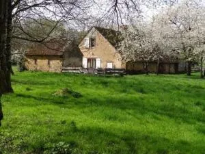 Ferme rénovée avec verger, 7 km du Mans, cheminée, 4 chambres, draps inclus, calme assuré - FR-1-410-251 - La Bazoge