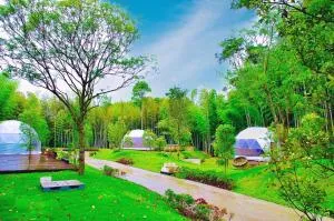 BAMBOO RESORT MIHAMA　繋 - Minamičita