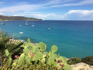 Maisons de vacances Holiday Home in La Croix-Valmer near Beaches : photos des chambres