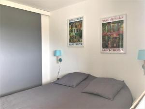 Holiday Home in La Croix-Valmer near Beaches