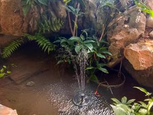 最大14人 駐車縦列4台可能 個室4部屋 広々戸建て 国際通りと牧志駅まで徒歩5分 わらゆんＳｏヴィラ壺屋