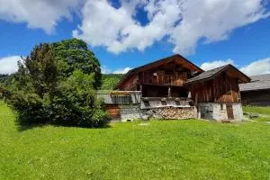 Chalet at the foot of the Nordic domain - Les Plans