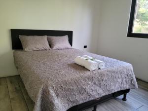 CASA DE LEON para tu familia