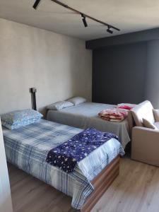 Espaço aconchegante - Centro - São Paulo