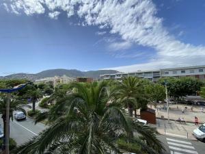 Appartements Bel appartement T3 climatise, centre Cavalaire, proche plages et commerces - FR-1-100-273 : photos des chambres