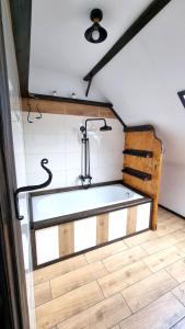 Přemyslovský dvůr