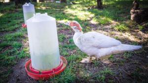 Casa rural Arribes Vida