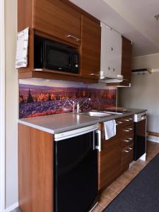 Levin Alppitalot Alpine Chalets Deluxe