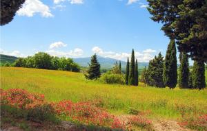 2 Bedroom Cozy Apartment In Castelmuzio