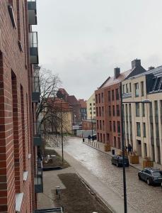 Olin Apartament B - Gdańsk Angielska Grobla