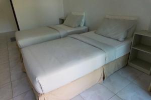Isla Tortuga Diving & Hostel