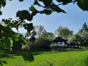 Siedlisko na Groniku - Sucha Struga