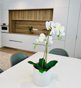 BEST LOFT NEAR REAL MADRID STADIUM