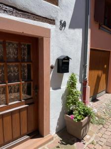 Maisons de vacances Gite Le Hissala : photos des chambres