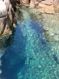 Anurra-Villa Paradiso img10