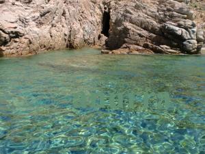 Anurra-Villa Paradiso img7