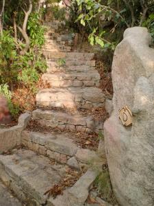 Anurra-Villa Paradiso img16