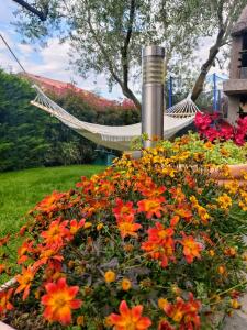 SALT & SAGE Apartment