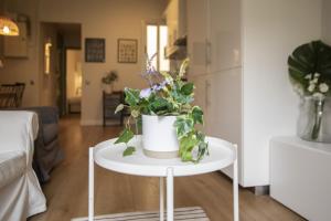 31ENT1027 - Mediterranean decorated apartment