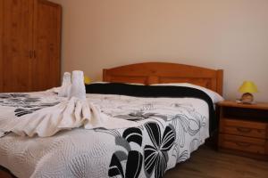 Standard Studio room in Studia Anesis