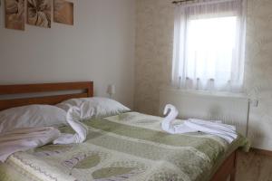 Standard Studio room in Studia Anesis