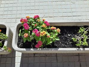 Butterfly Accommodation img54