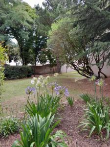 Appartements APPARTEMENT AU CALME AVEC PISCINE ET PARKING dans residence securisee : photos des chambres