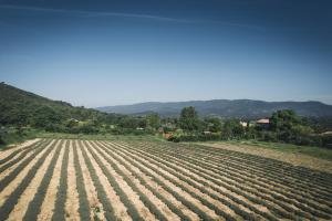 Maisons de vacances GITE SUD LUBERON : photos des chambres