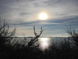 Maisons de vacances Des vacances ressourcantes dans le Golfe du Morbihan : photos des chambres