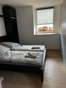 Loft Pihenő és Wellness Ház
